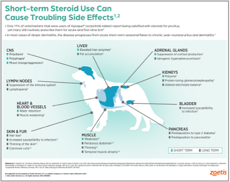 steroid-sideeffects-updated